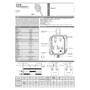 RHV-1